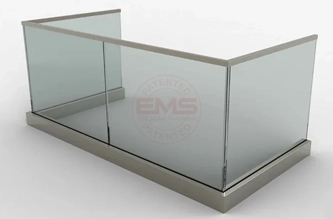EMS - 2010